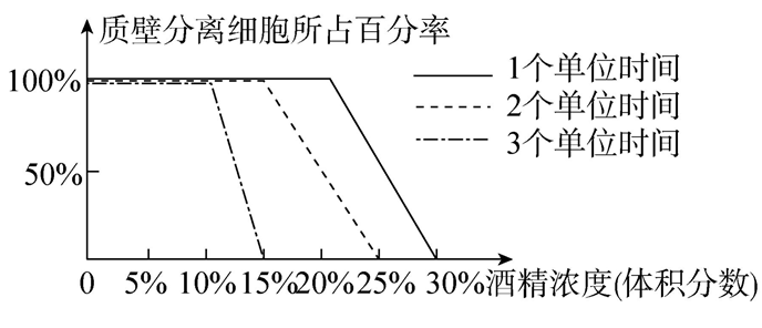 Yangzhong Teaching Studio