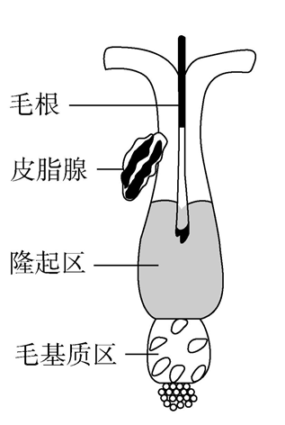 Yangzhong Teaching Studio