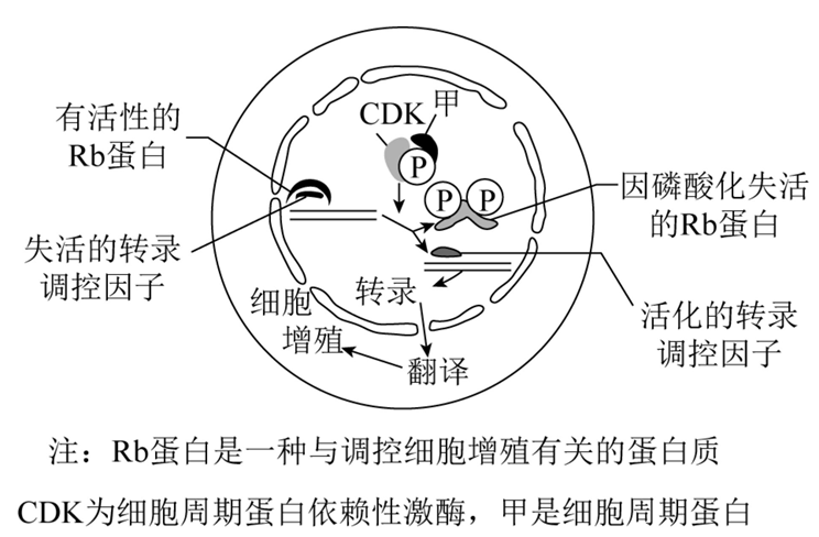 Yangzhong Teaching Studio