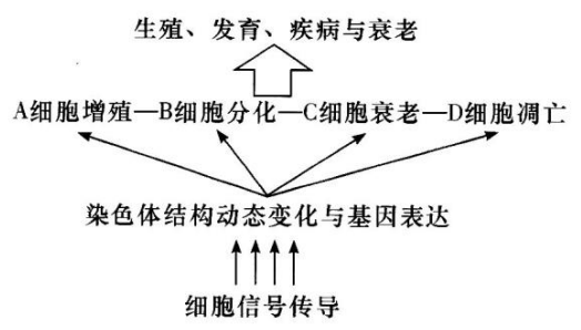 Yangzhong Teaching Studio