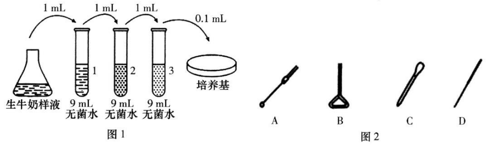 Yangzhong Teaching Studio