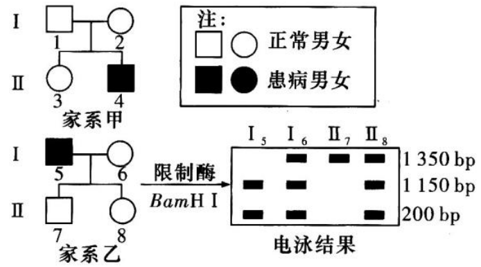 Yangzhong Teaching Studio