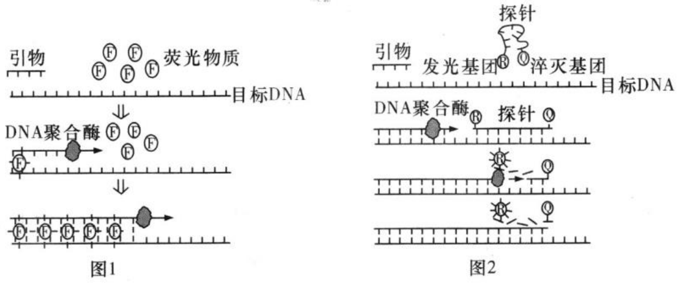 Yangzhong Teaching Studio