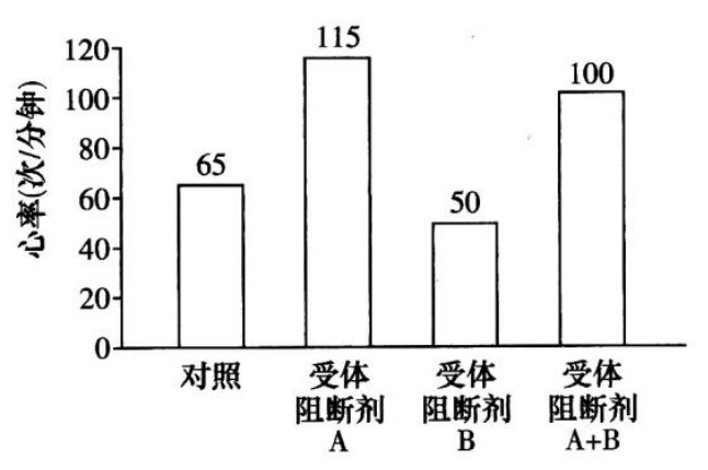 Yangzhong Teaching Studio