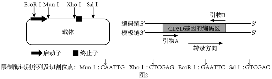 Yangzhong Teaching Studio