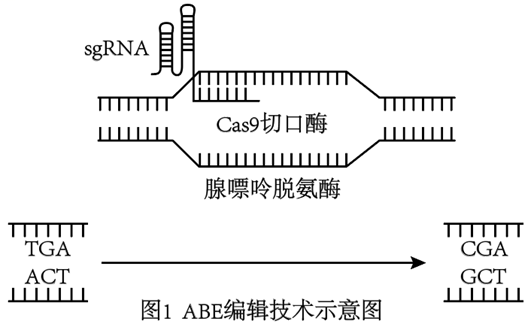 Yangzhong Teaching Studio