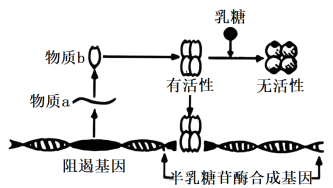 Yangzhong Teaching Studio