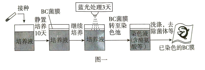 Yangzhong Teaching Studio