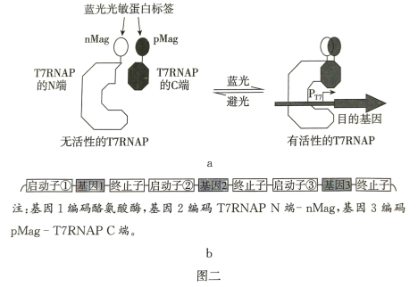 Yangzhong Teaching Studio