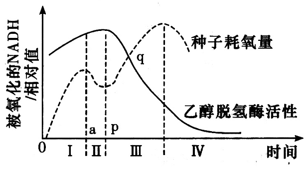 Yangzhong Teaching Studio