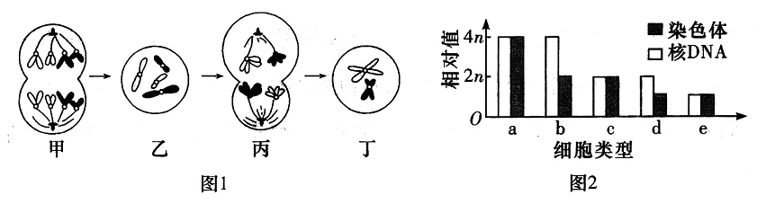 Yangzhong Teaching Studio