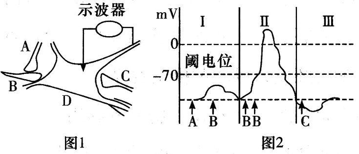 Yangzhong Teaching Studio