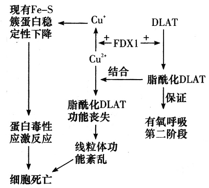 Yangzhong Teaching Studio