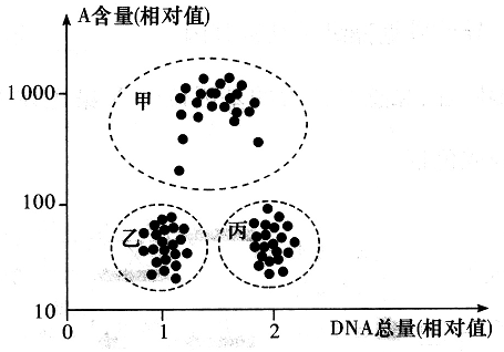 Yangzhong Teaching Studio