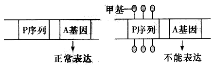 Yangzhong Teaching Studio