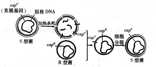 Yangzhong Teaching Studio