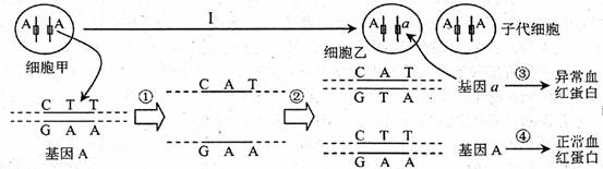 Yangzhong Teaching Studio