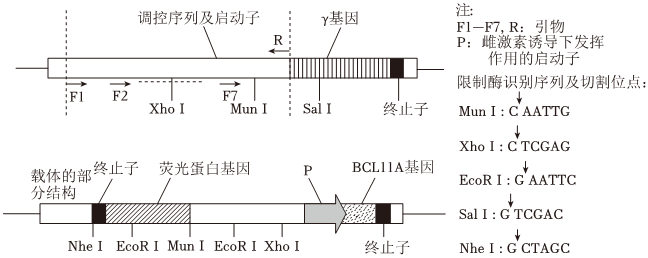 Yangzhong Teaching Studio